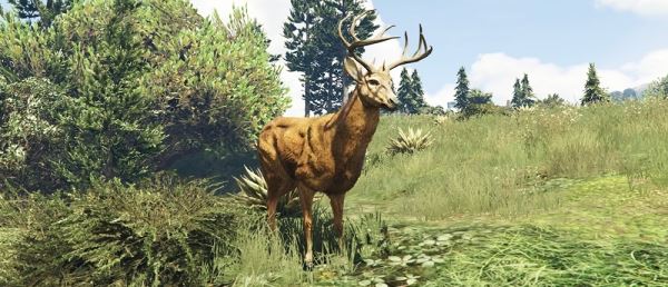  Игроки GTA Online нашли новую забаву — они превращаются в оленей и других животных 